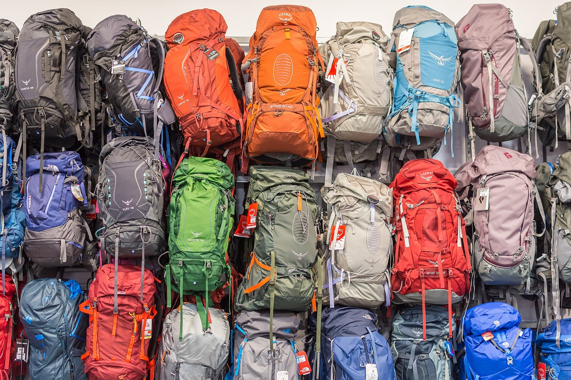 A wall of colourful travel backpacks in many sizes